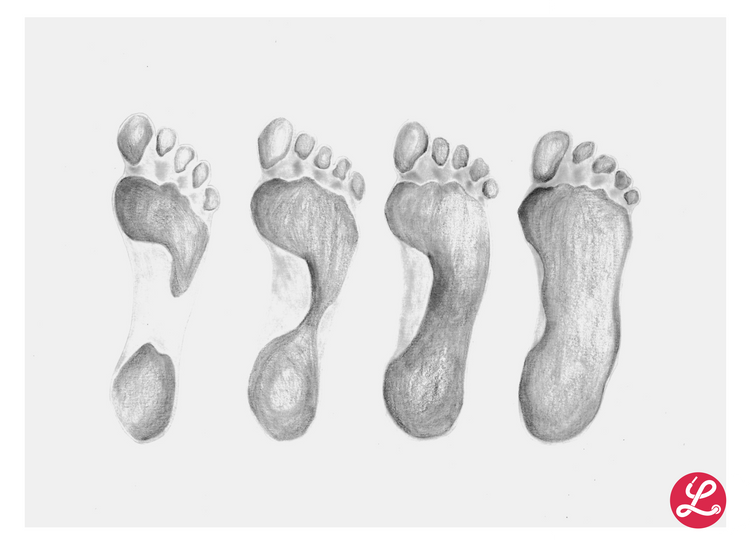 Der menschliche Fuß - Fähigkeiten und Formen