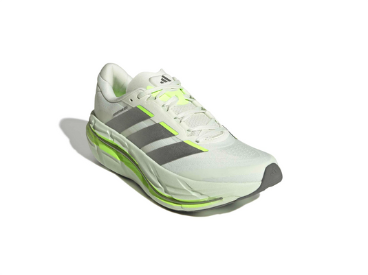 Adistar BYD 2