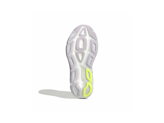 Adistar BYD 2 w