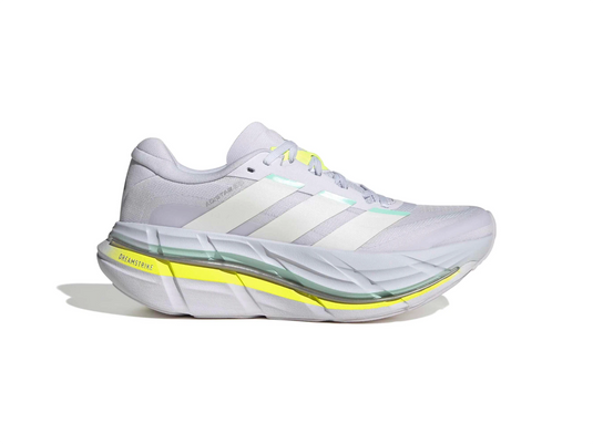 Adistar BYD 2 w