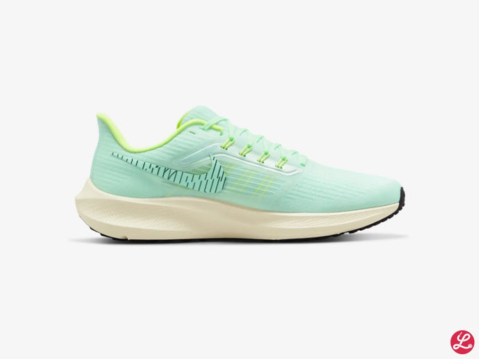 Pegasus 39