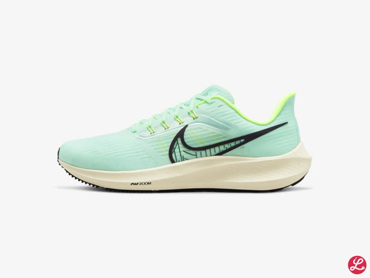 Pegasus 39