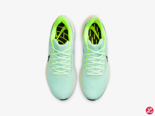 Pegasus 39