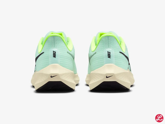 Pegasus 39