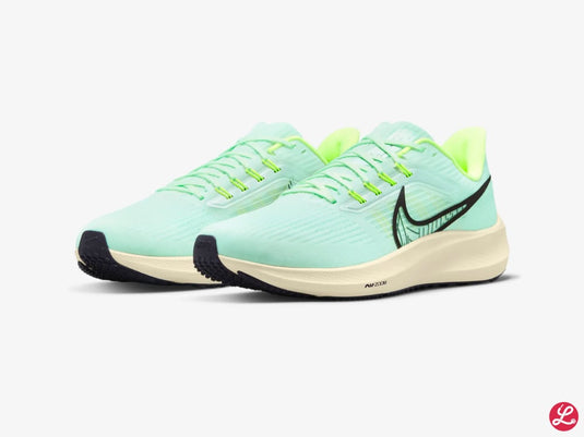 Pegasus 39