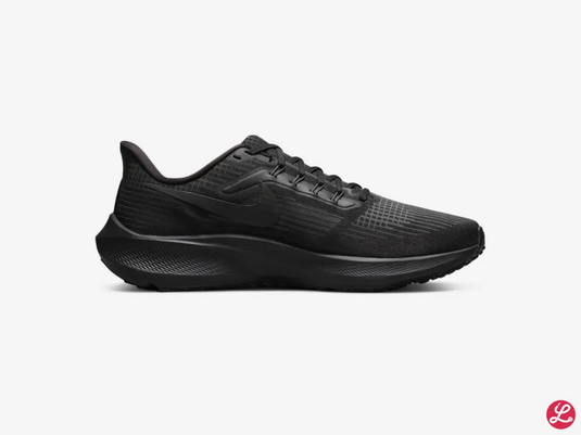 Pegasus 39