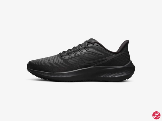 Pegasus 39