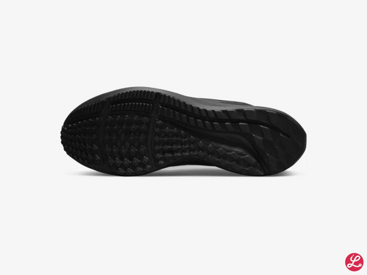Pegasus 39