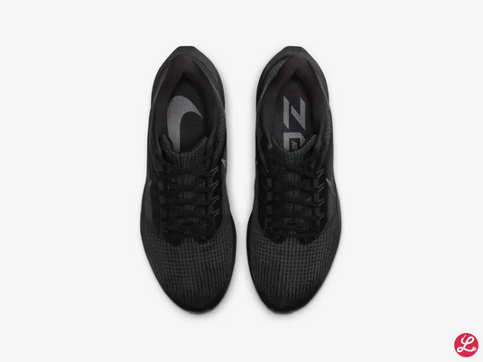 Pegasus 39