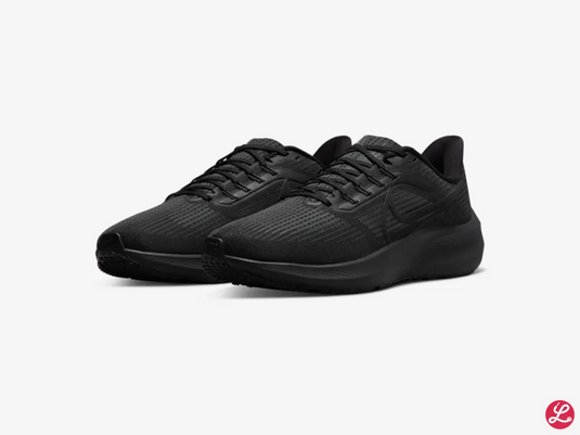 Pegasus 39