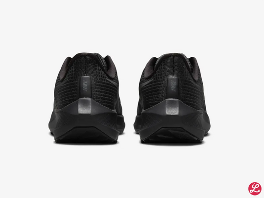 Pegasus 39